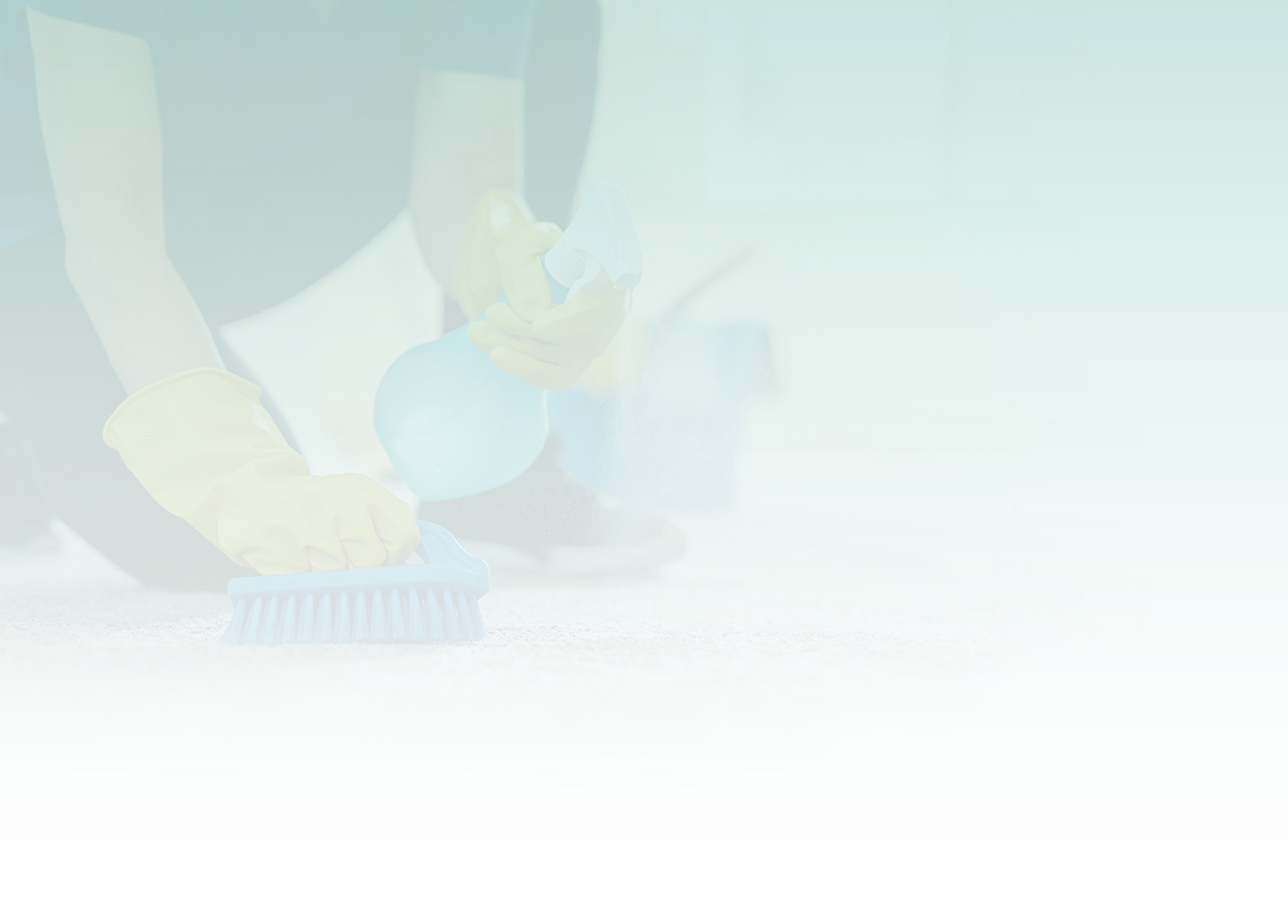 Household Cleaning Supplies